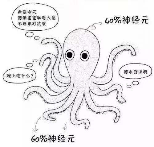 邊緣計算就像是擁有眾多神經元的章魚。